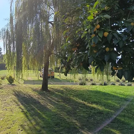 Oda ve Kahvaltı Subiet Moncalvo